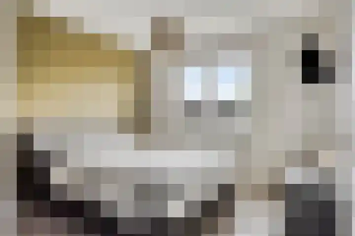 Koningsspil 5 Rijkevoort thumbnail 37