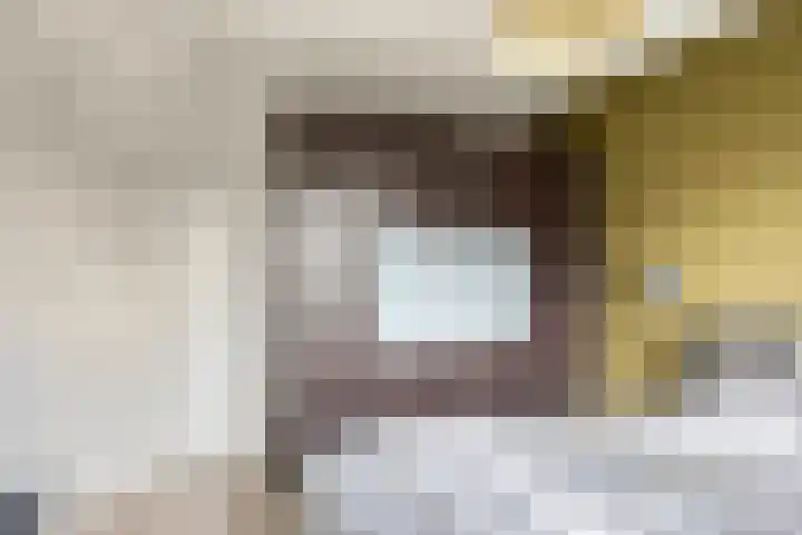 Koningsspil 5 Rijkevoort thumbnail 38
