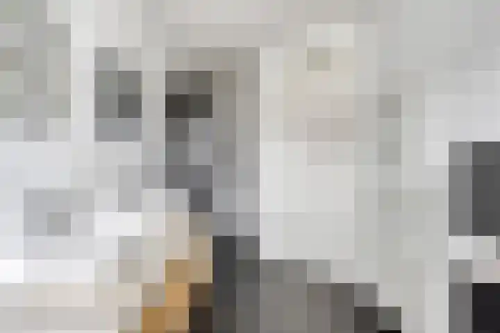 Koningsspil 5 Rijkevoort thumbnail 40