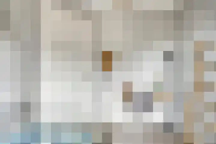 Koningsspil 5 Rijkevoort thumbnail 43