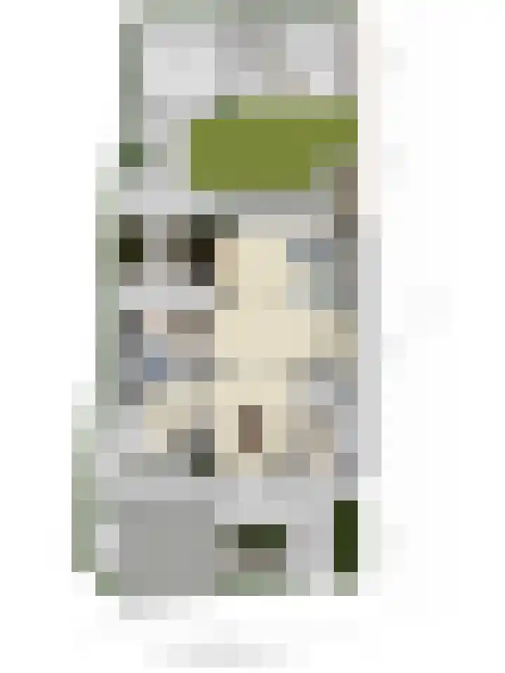 Koningsspil 5 Rijkevoort thumbnail 49