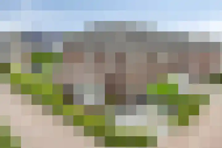 Koningsspil 5 Rijkevoort thumbnail 5
