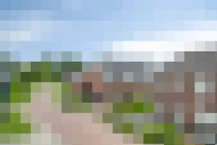 Koningsspil 5 Rijkevoort thumbnail 7