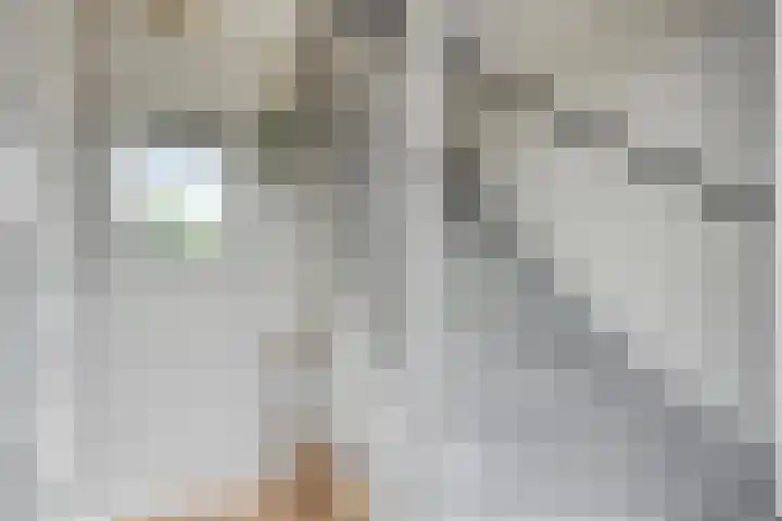 Koningsspil 5 Rijkevoort thumbnail 9
