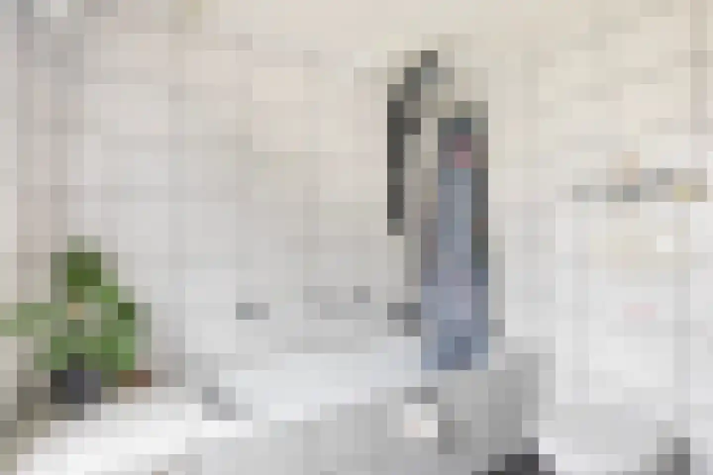 Koningsspil 6 Sneek thumbnail 25