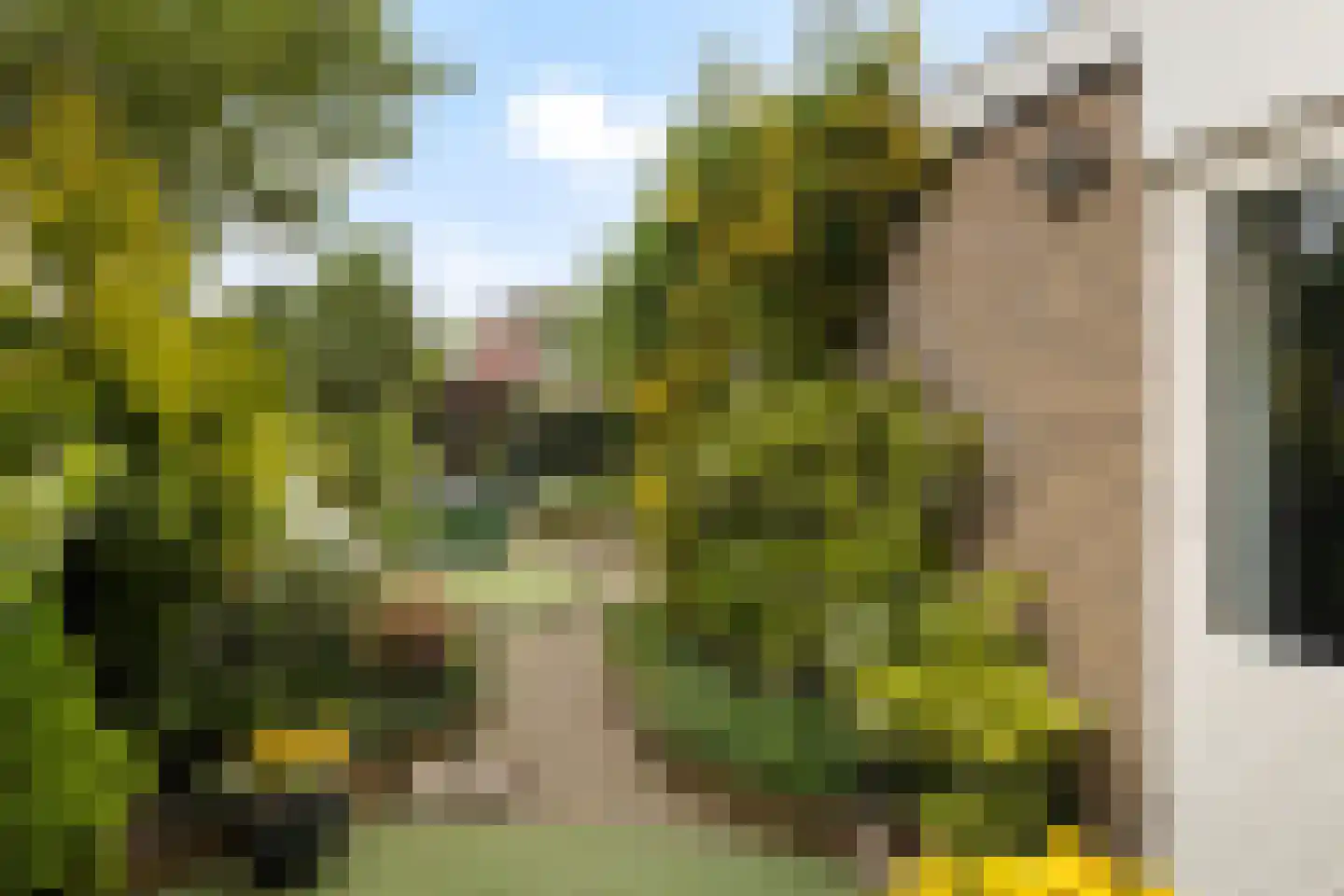 Koningsspil 6 Sneek thumbnail 30