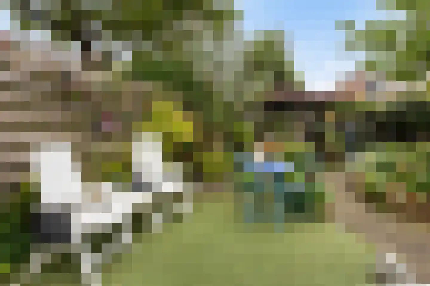 Koningsspil 6 Sneek thumbnail 31