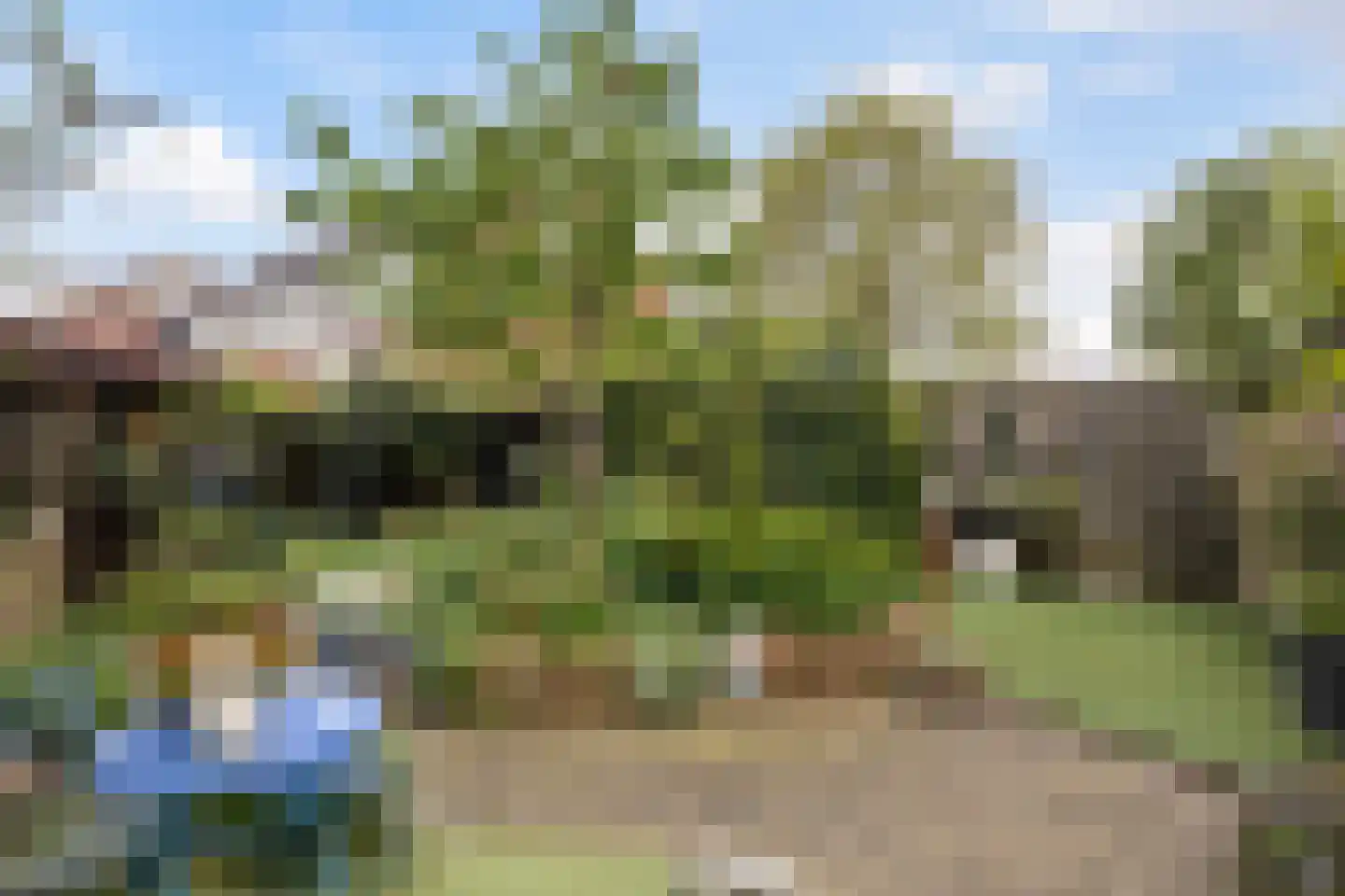 Koningsspil 6 Sneek thumbnail 32