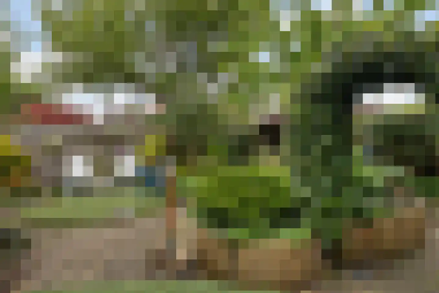 Koningsspil 6 Sneek thumbnail 33