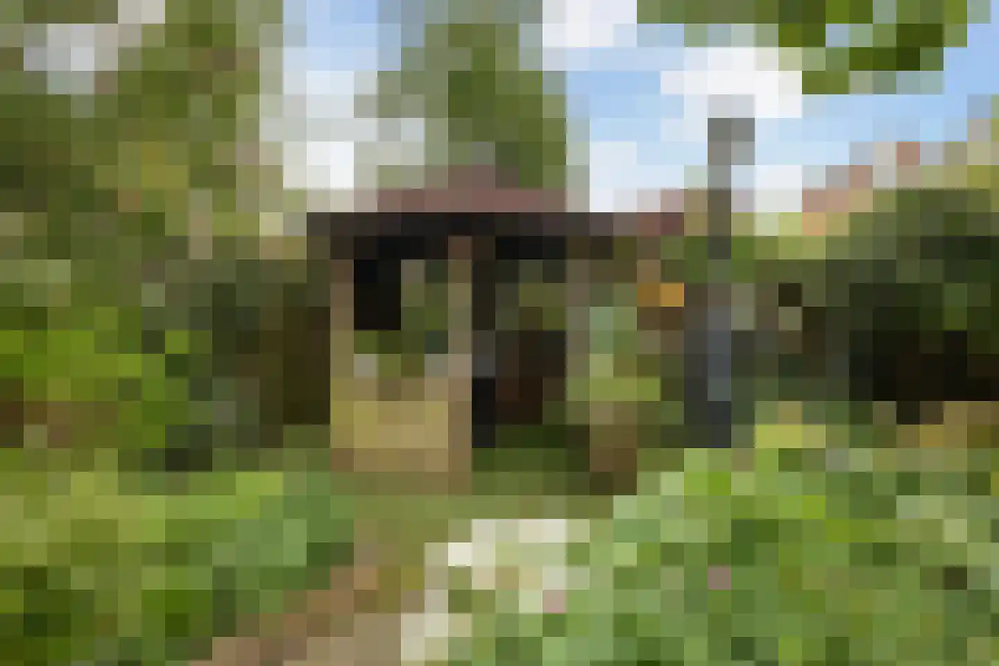 Koningsspil 6 Sneek thumbnail 34