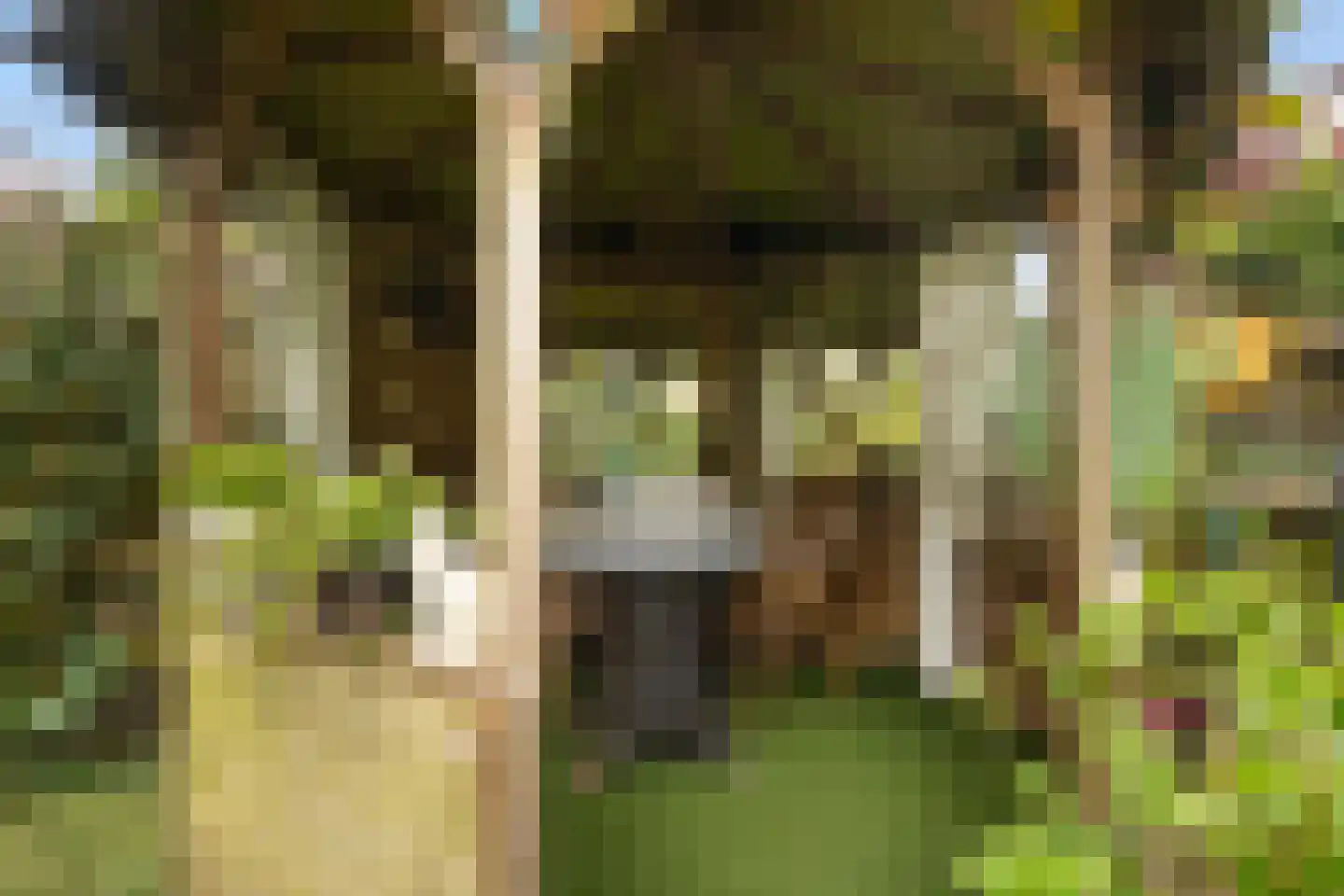 Koningsspil 6 Sneek thumbnail 35