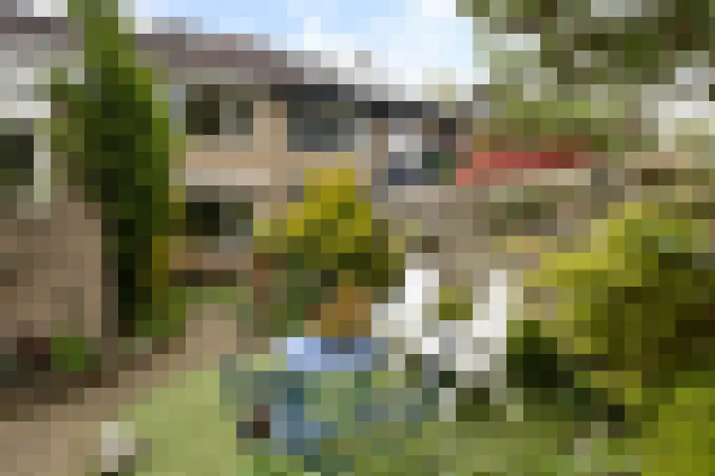 Koningsspil 6 Sneek thumbnail 37