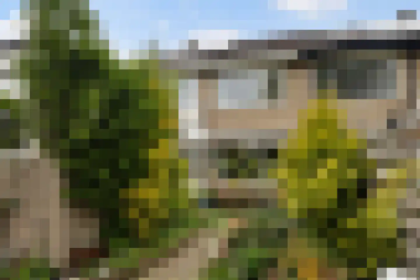 Koningsspil 6 Sneek thumbnail 38