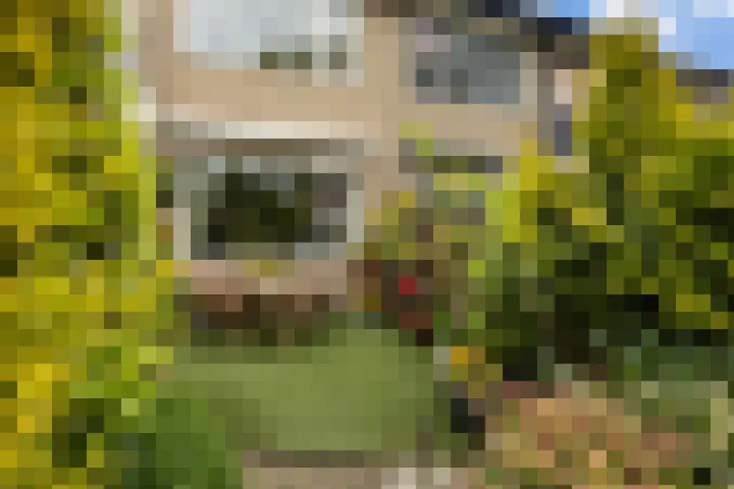 Koningsspil 6 Sneek thumbnail 39
