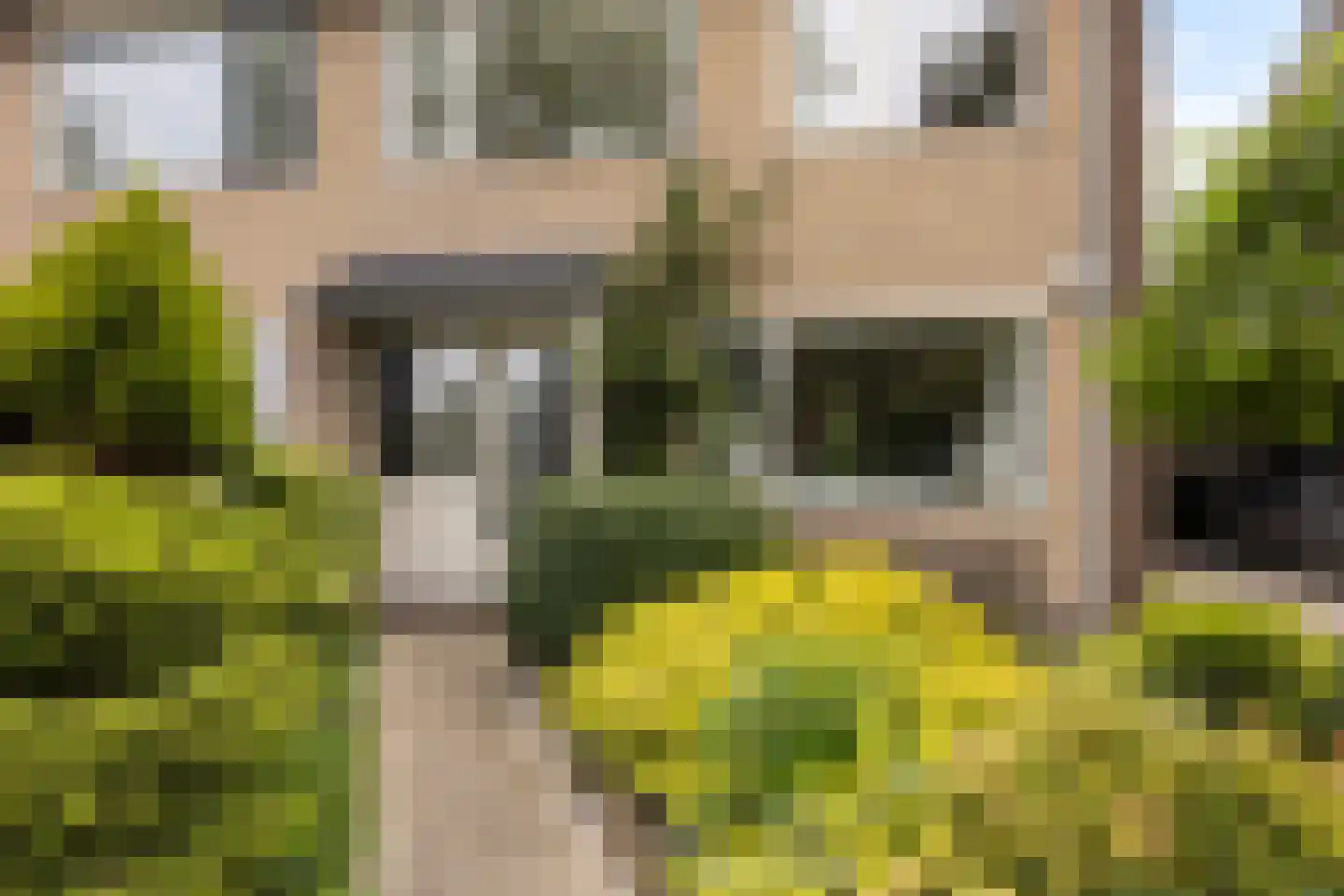 Koningsspil 6 Sneek thumbnail 40