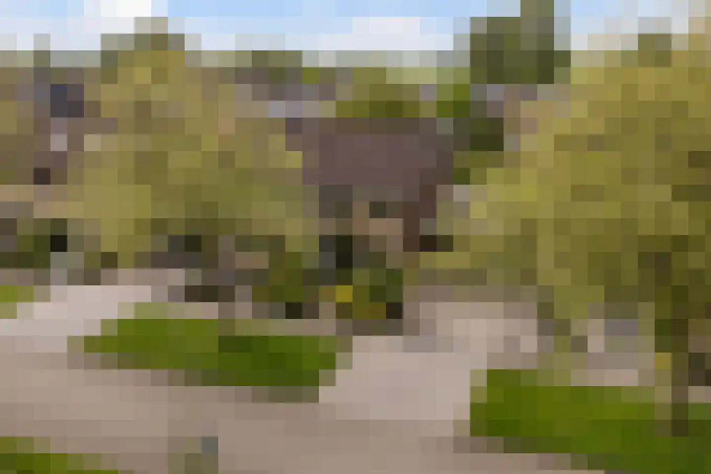 Koningsspil 6 Sneek thumbnail 41