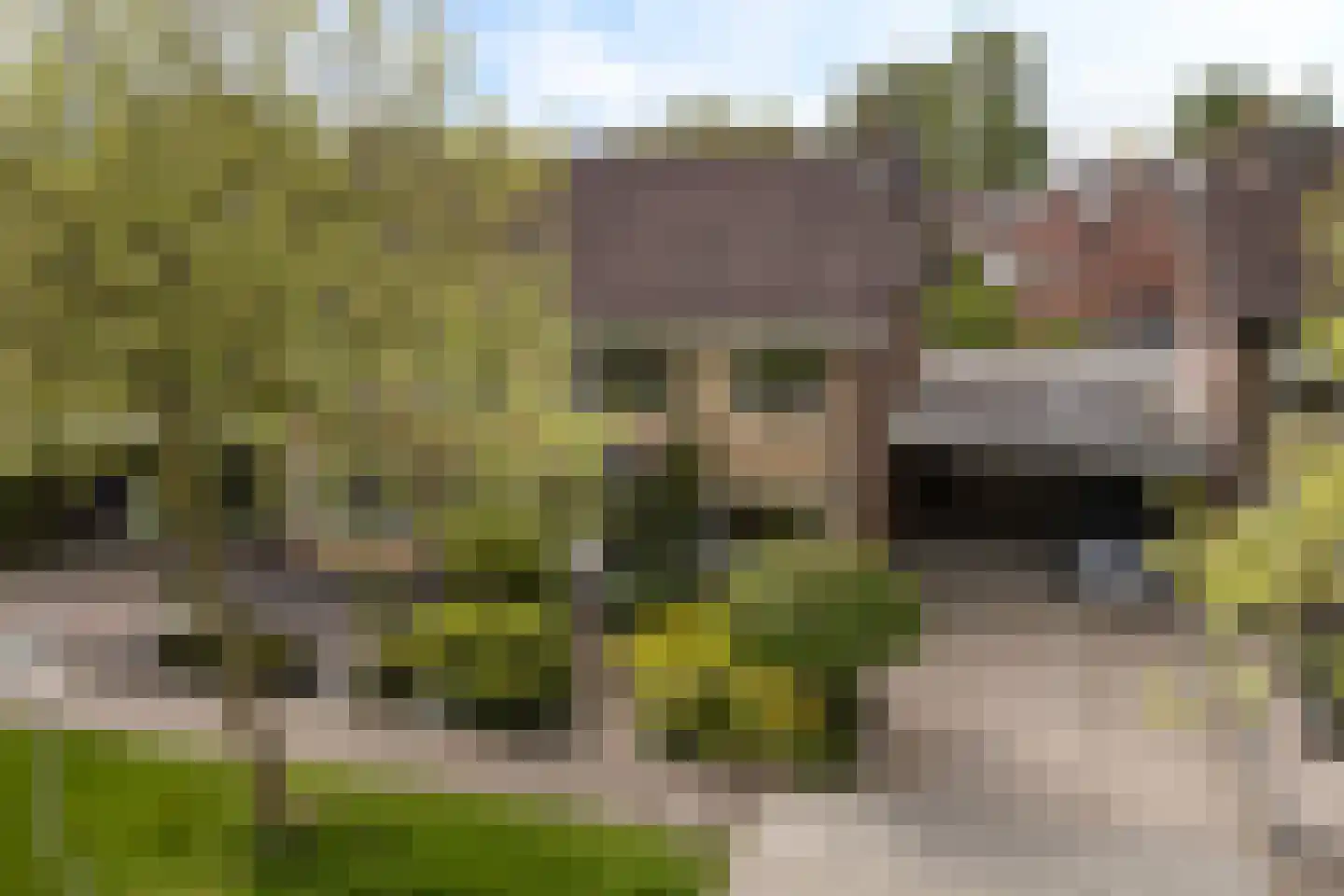 Koningsspil 6 Sneek thumbnail 42