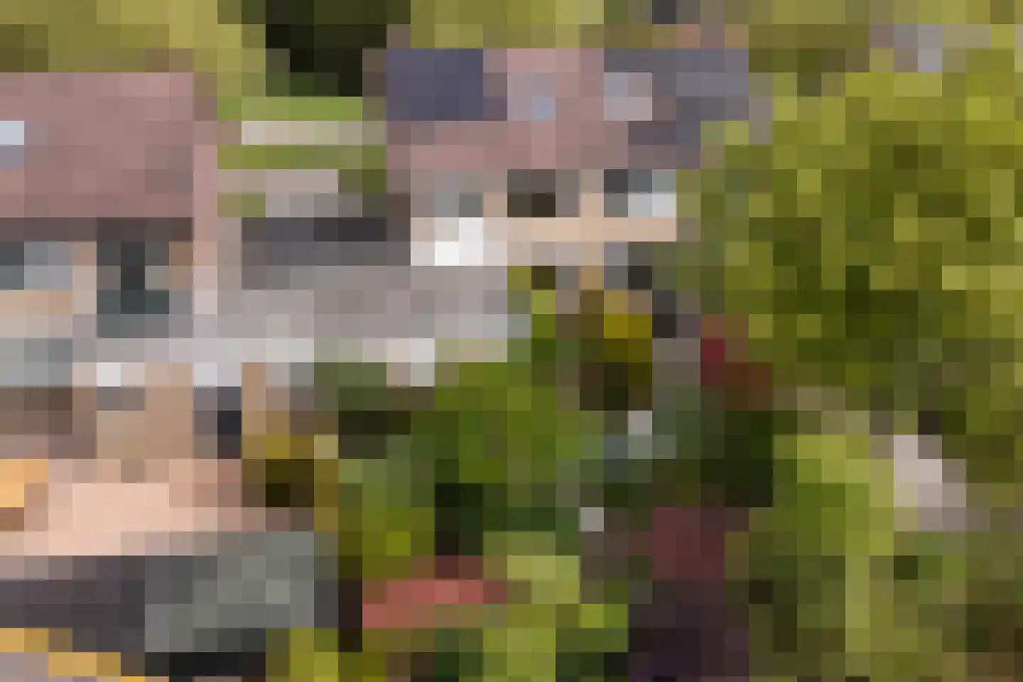 Koningsspil 6 Sneek thumbnail 45