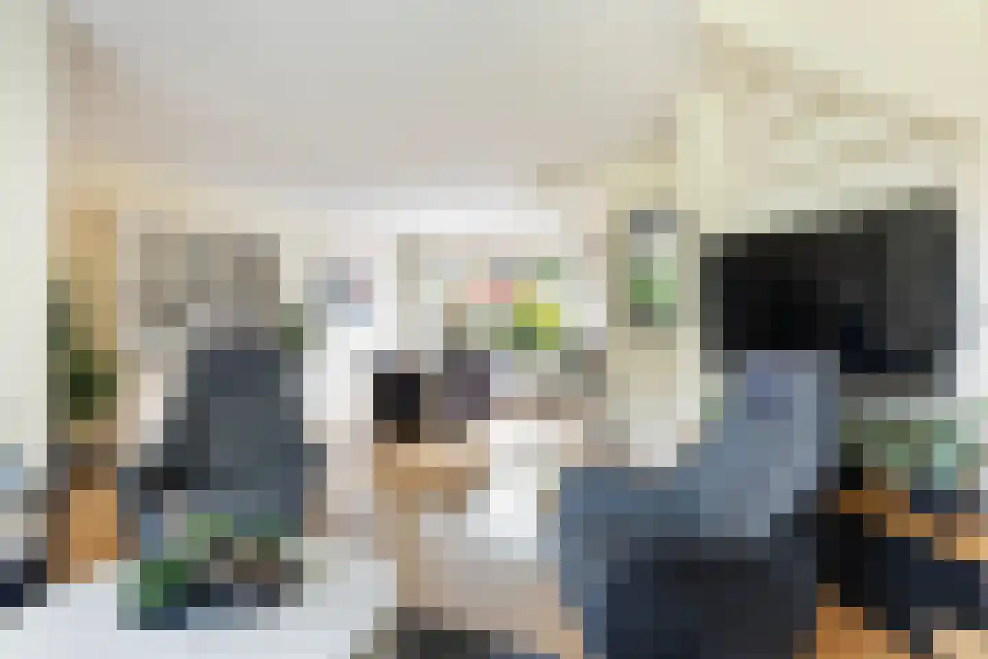 Koningsspil 6 Sneek thumbnail 9