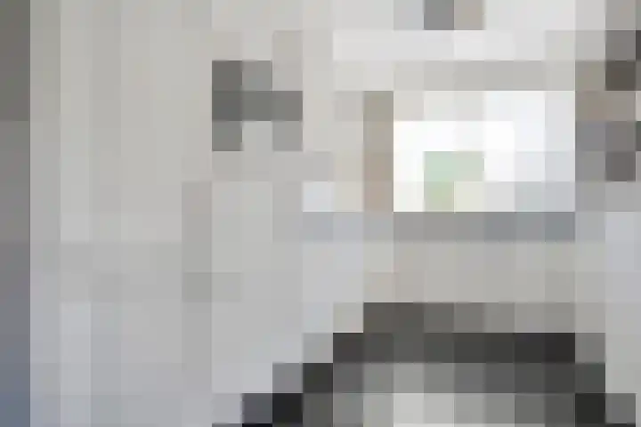 Koningsspil 61 Raalte thumbnail 16