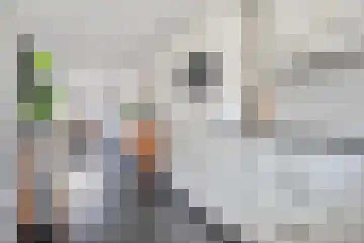 Koningsspil 61 Raalte thumbnail 18