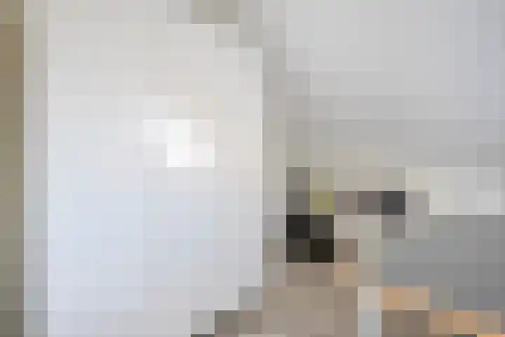 Koningsspil 61 Raalte thumbnail 32
