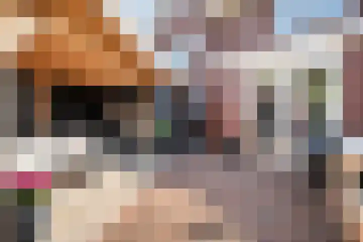 Koningsspil 61 Raalte thumbnail 37