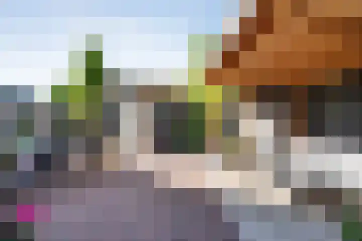 Koningsspil 61 Raalte thumbnail 38