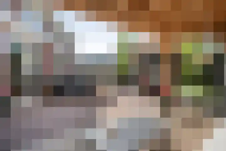 Koningsspil 61 Raalte thumbnail 39