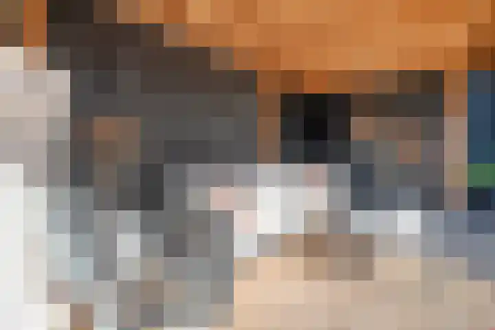 Koningsspil 61 Raalte thumbnail 41