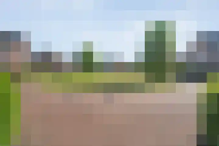 Koningsspil 61 Raalte thumbnail 43