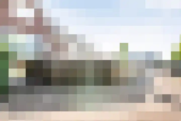 Koningsspil 61 Raalte thumbnail 44