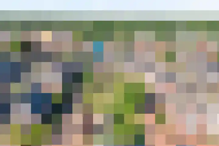 Koningsspil 61 Raalte thumbnail 5