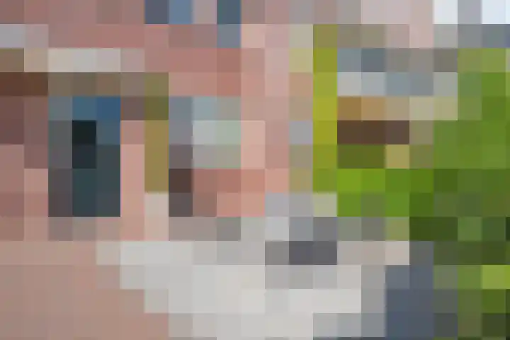 Koningsspil 61 Raalte thumbnail 7