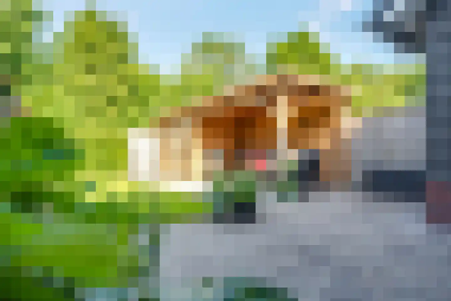 Koningsspil 7 Sint Jansklooster thumbnail 17