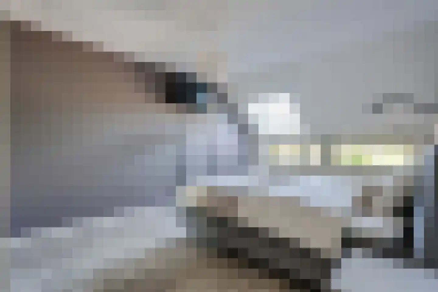 Koningsspil 7 Sint Jansklooster thumbnail 31
