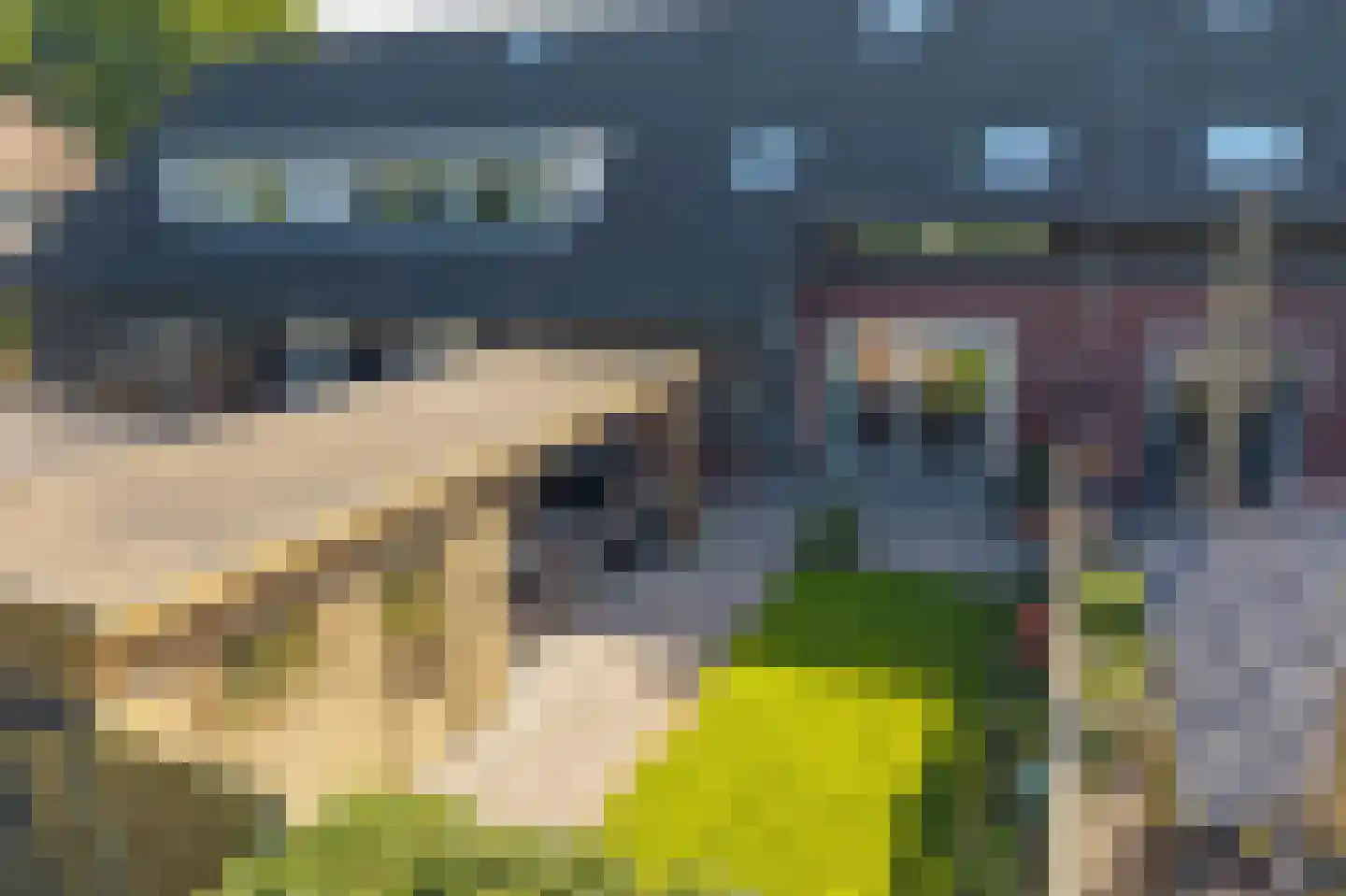 Koningsspil 7 Sint Jansklooster thumbnail 41