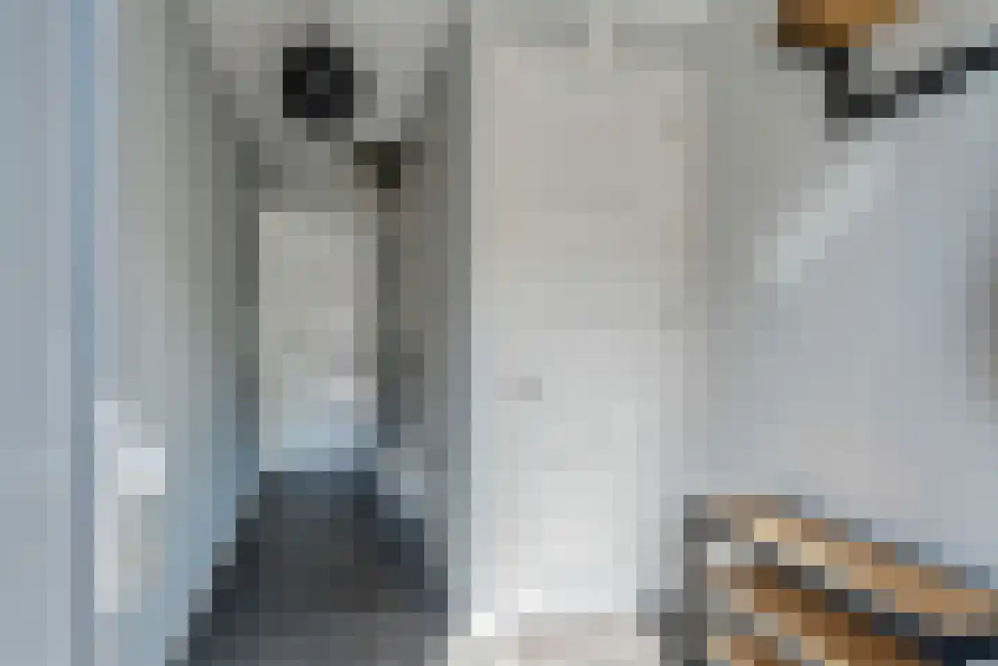 Koningsspil 7 Sint Jansklooster thumbnail 7