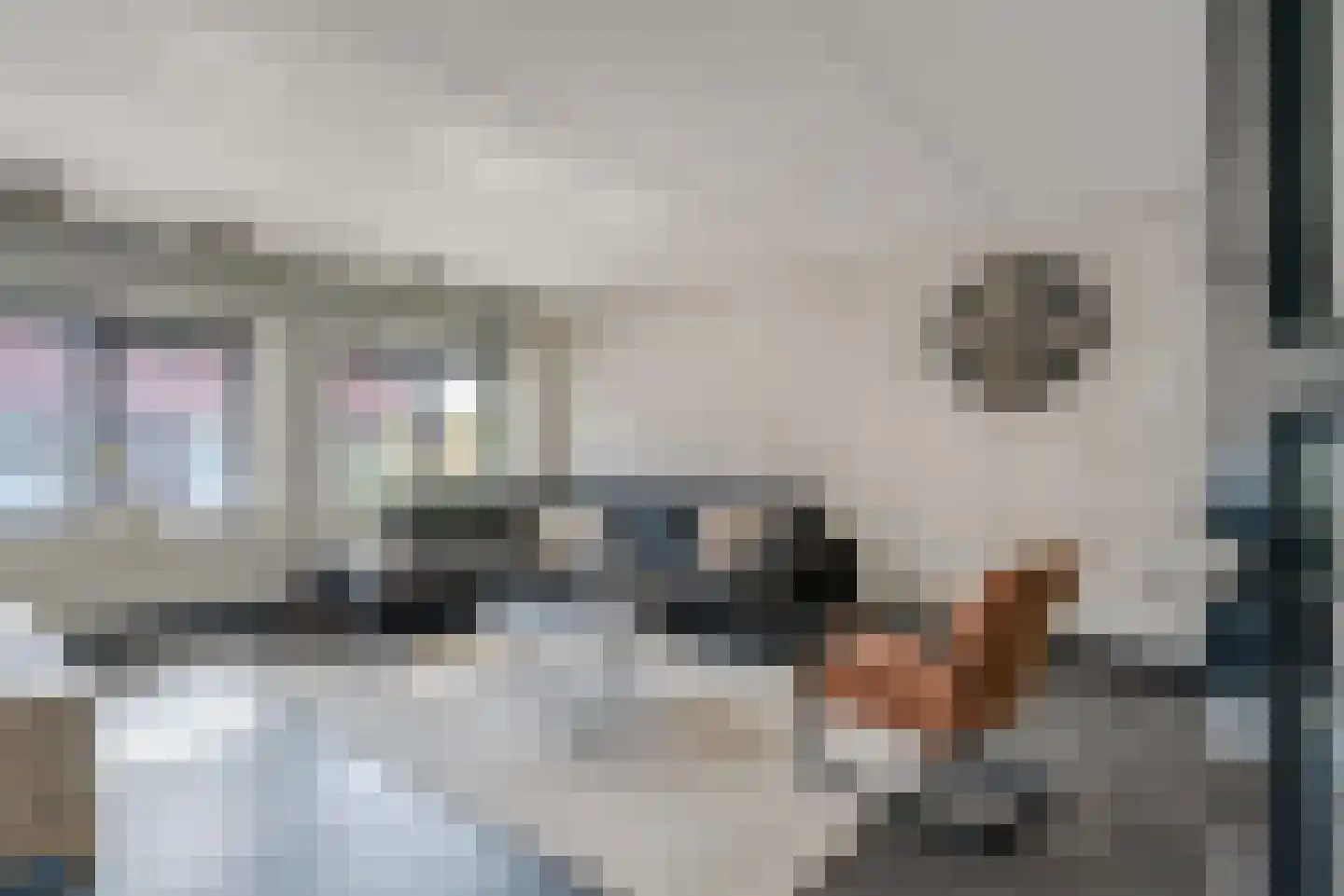 Koningsspil 7 Sint Jansklooster thumbnail 8