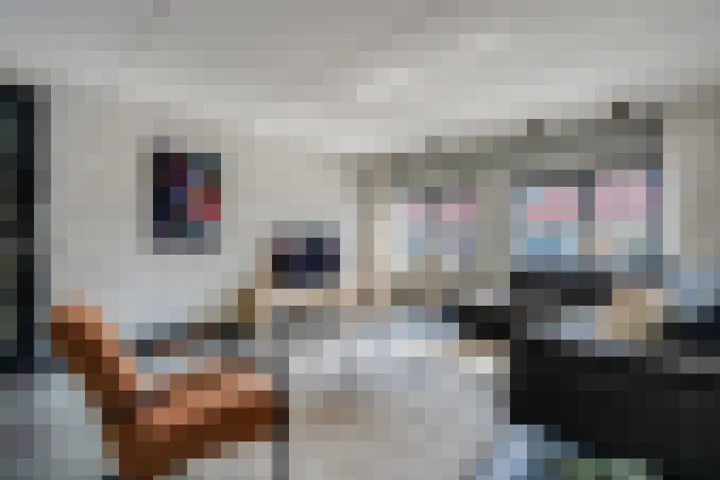 Koningsspil 7 Sint Jansklooster thumbnail 9