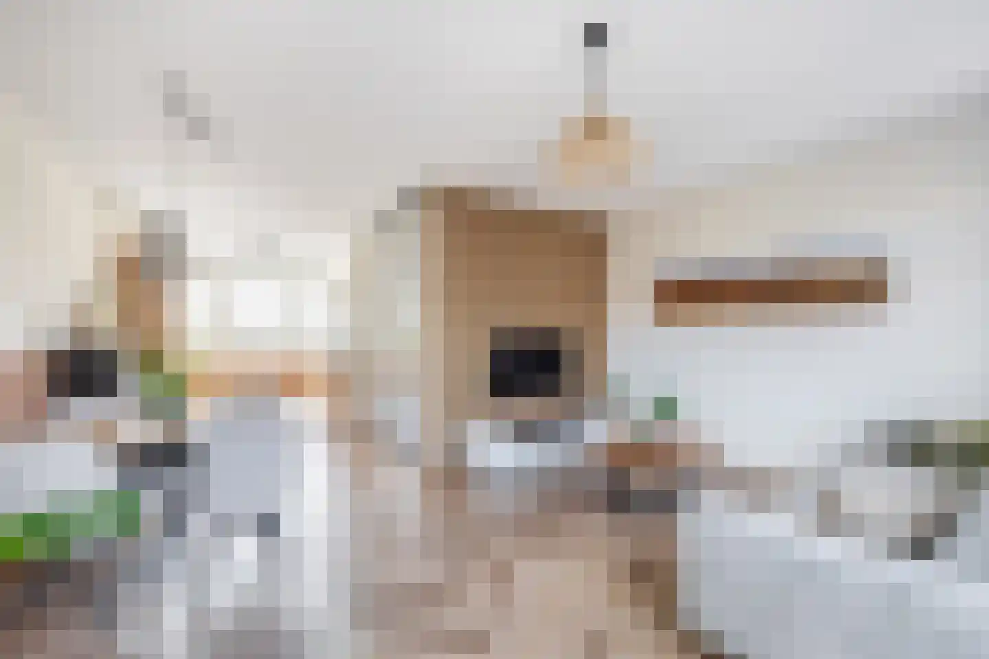 Koningsspil 71 Moerkapelle thumbnail 8
