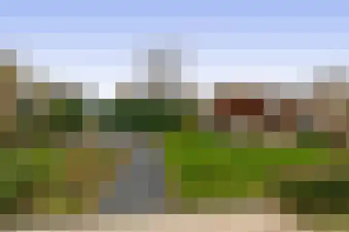 Koningsspil 76 Moerkapelle thumbnail 17