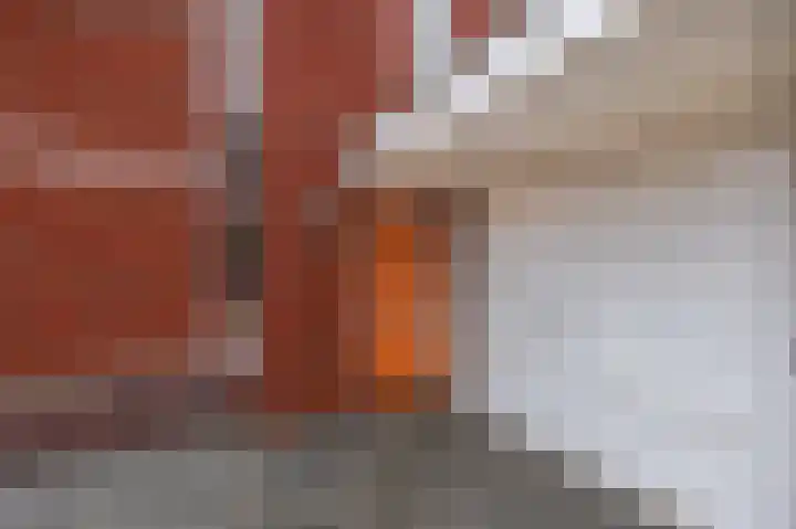 Koningsspil 76 Moerkapelle thumbnail 6