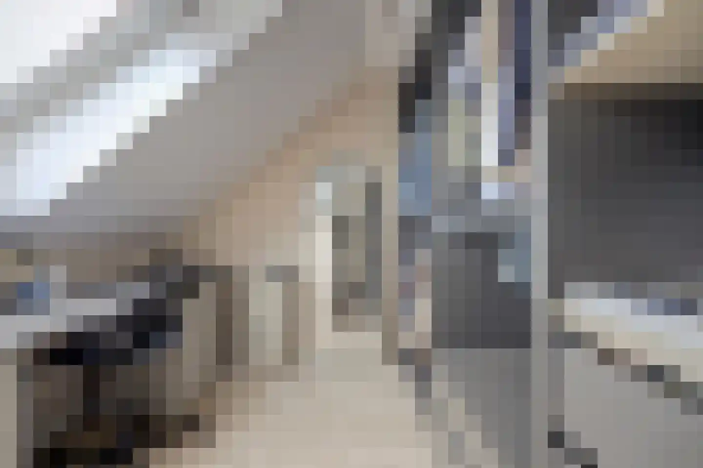 Koningsspil 8 Nunspeet thumbnail 4