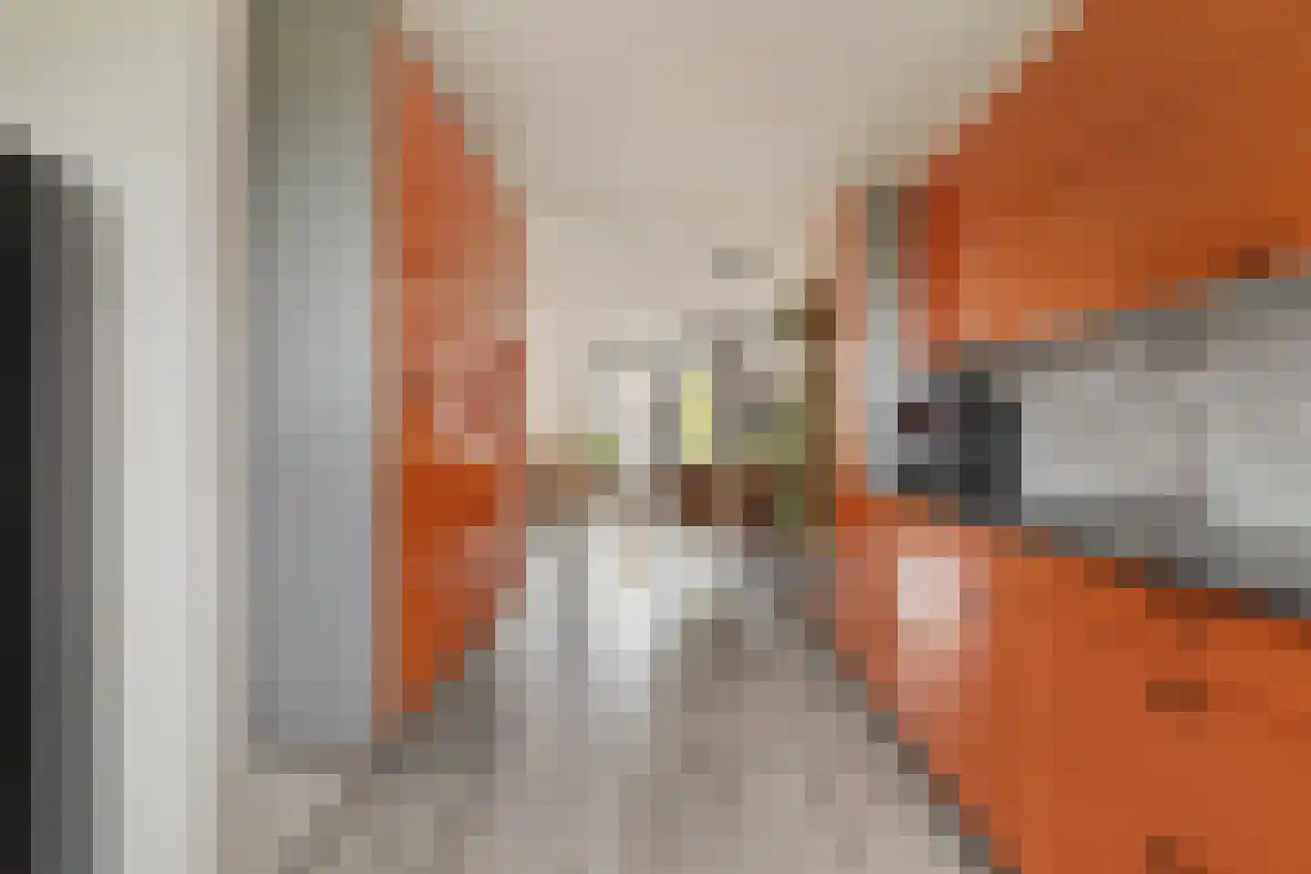 Koningsspil 82 Sint Pancras thumbnail 12