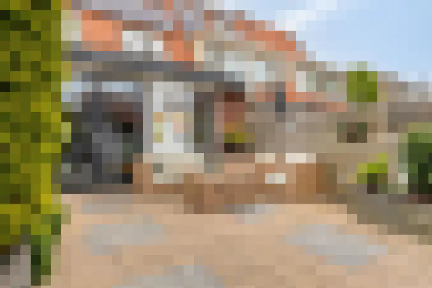 Koningsspil 82 Sint Pancras thumbnail 37