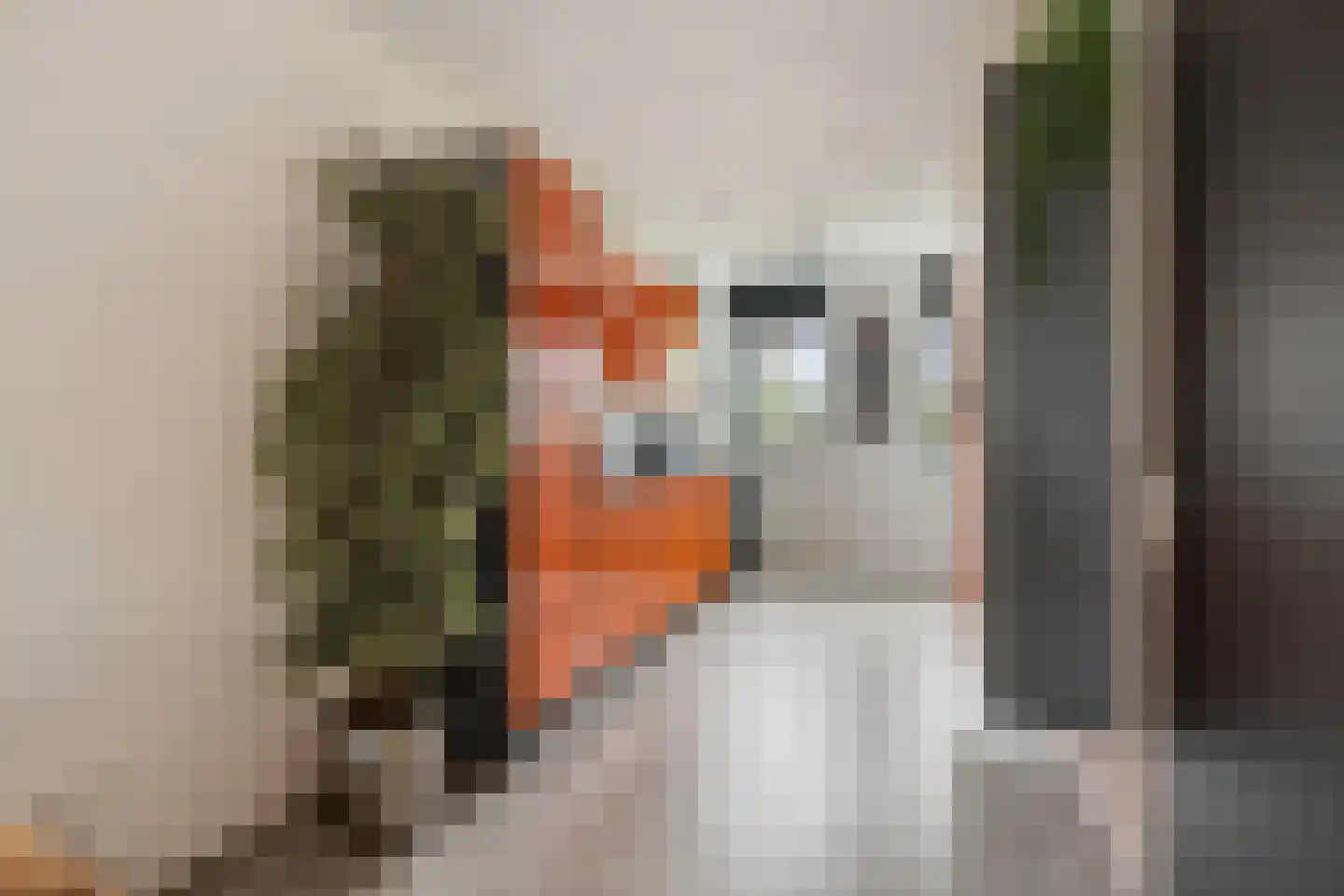 Koningsspil 82 Sint Pancras thumbnail 9