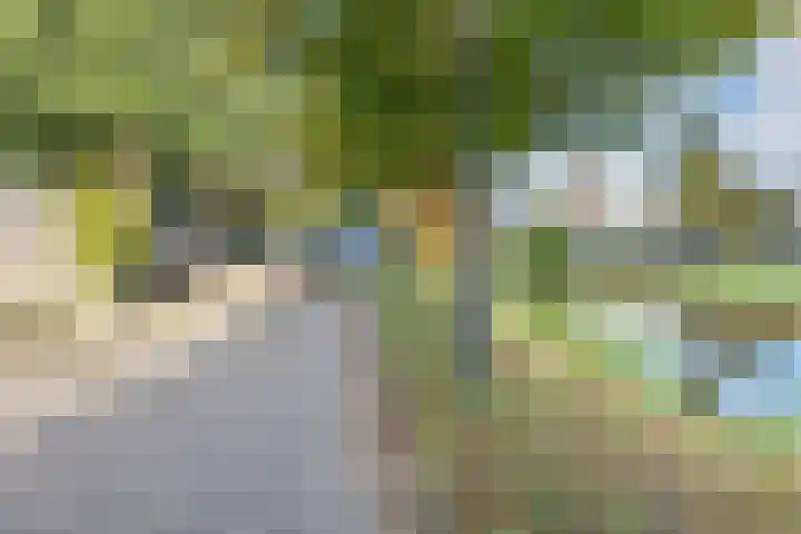 Koningsspil 9 Leidschendam thumbnail 36