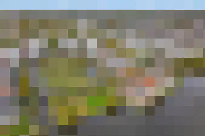 Koningsspil 9 Leidschendam thumbnail 38