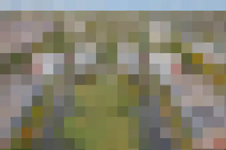 Koningsspil 9 Leidschendam thumbnail 39